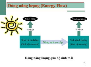 71
Dòng năng lượng (Energy Flow)
Sinh vật tự dưỡng
(Sinh vật sản xuất)
Hô hấp
Nhiệt năng
Sinh vật dị dưỡng
(Sinh vật tiêu ...