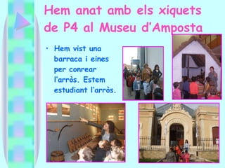 Hem anat amb els xiquets de P4 al Museu d’Amposta Hem vist una barraca i eines per conrear l’arròs. Estem estudiant l’arròs. 
