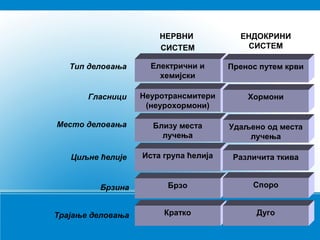 Електрични и
хемијски
Неуротрансмитери
(неурохормони)
Близу места
лучења
Иста група ћелија
Брзо
Кратко
Пренос путем крви
Хормони
Удаљено од места
лучења
Различита ткива
Споро
Дуго
НЕРВНИ
СИСТЕМ
ЕНДОКРИНИ
СИСТЕМ
Тип деловања
Гласници
Место деловања
Циљне ћелије
Брзина
Трајање деловања
 