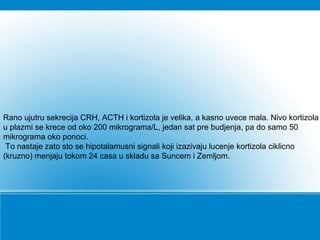 Rano ujutru sekrecija CRH, ACTH i kortizola je velika, a kasno uvece mala. Nivo kortizola
u plazmi se krece od oko 200 mikrograma/L, jedan sat pre budjenja, pa do samo 50
mikrograma oko ponoci.
To nastaje zato sto se hipotalamusni signali koji izazivaju lucenje kortizola ciklicno
(kruzno) menjaju tokom 24 casa u skladu sa Suncem i Zemljom.
 