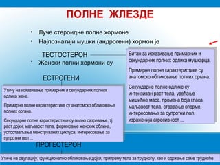 ПОЛНЕ ЖЛЕЗДЕ
• Луче стероидне полне хормоне
• Најпознатији мушки (андрогени) хормон је
• Женски полни хормони су
ТЕСТОСТЕРОН
ЕСТРОГЕНИ
Битан за исказивање примарних и
секундарних полних одлика мушкарца.
Примарне полне карактеристике су
анатомско обликовање полних органа.
Секундарне полне одлике су
интензиван раст тела, увећање
мишићне масе, промена боја гласа,
маљавост тела, стварање сперме,
интересовање за супротни пол,
израженија агресивност ...
Битан за исказивање примарних и
секундарних полних одлика мушкарца.
Примарне полне карактеристике су
анатомско обликовање полних органа.
Секундарне полне одлике су
интензиван раст тела, увећање
мишићне масе, промена боја гласа,
маљавост тела, стварање сперме,
интересовање за супротни пол,
израженија агресивност ...
Утичу на исказивање примарних и секундарних полних
одлика жене.
Примарне полне карактеристике су анатомско обликовање
полних органа.
Секундарне полне карактеристике су полно сазревање, тј.
раст дојки, маљавост тела, формирање женских облина,
успостављање менструалних циклуса, интересовање за
супротни пол ...
Утичу на исказивање примарних и секундарних полних
одлика жене.
Примарне полне карактеристике су анатомско обликовање
полних органа.
Секундарне полне карактеристике су полно сазревање, тј.
раст дојки, маљавост тела, формирање женских облина,
успостављање менструалних циклуса, интересовање за
супротни пол ...
Утиче на овулацију, функционално обликовање дојки, припрему тела за трудноћу, као и одржање саме трудноћеУтиче на овулацију, функционално обликовање дојки, припрему тела за трудноћу, као и одржање саме трудноће
ПРОГЕСТЕРОН
 