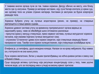 У ткивима многих органа луче се тзв. ткивни хормони. Делују обично на месту, или близу
места где су излучени. Пример је материја хистамин, коју луче ћелије епитела уз крвни суд,
као одговор тела на улазак страних материја. Хистамин је заслужан за бурне алергијске
реакције тела.
У ткивима многих органа луче се тзв. ткивни хормони. Делују обично на месту, или близу
места где су излучени. Пример је материја хистамин, коју луче ћелије епитела уз крвни суд,
као одговор тела на улазак страних материја. Хистамин је заслужан за бурне алергијске
реакције тела.
Хормони бубрега утичу на лучење алдостерона (ренин, на пример), на стварање
еритроцита и стање крвних судова.
Хормони бубрега утичу на лучење алдостерона (ренин, на пример), на стварање
еритроцита и стање крвних судова.
Хормони цревног система утичу на временску припремљеност органа варења за
надолазећу храну, чиме се обезбеђује њено оптимално разлагање:
- присутна храна у желуцу стимулише, преко нервног система, лучење желудачног хормона
гастрина, који изазива појачано лучење желудачног сока;
- слузокожа 12-палачног црева лучи хормон секретин, који стимулише секрецију базног
панкреасног сока. Такође лучи хормон холецистокинин, који стимулише ослобађање жучи.
Хормони цревног система утичу на временску припремљеност органа варења за
надолазећу храну, чиме се обезбеђује њено оптимално разлагање:
- присутна храна у желуцу стимулише, преко нервног система, лучење желудачног хормона
гастрина, који изазива појачано лучење желудачног сока;
- слузокожа 12-палачног црева лучи хормон секретин, који стимулише секрецију базног
панкреасног сока. Такође лучи хормон холецистокинин, који стимулише ослобађање жучи.
Епифиза је, уз хипофизу, друга мождана жлезда. Налази се на крову међумозга. Код човека
се у потпуности не зна њена улога.
Лучи хормон мелатонин, битан у нашем прилагођавању на ноћно-дневни ритам и смену сна
и будног стања.
Епифиза је, уз хипофизу, друга мождана жлезда. Налази се на крову међумозга. Код човека
се у потпуности не зна њена улога.
Лучи хормон мелатонин, битан у нашем прилагођавању на ноћно-дневни ритам и смену сна
и будног стања.
Срце продукује активну супстанцу која регулише концентрацију соли у телу, тиме укупне
телесне воде, што за последицу има и утицај на висину крвног притиска
Срце продукује активну супстанцу која регулише концентрацију соли у телу, тиме укупне
телесне воде, што за последицу има и утицај на висину крвног притиска
 