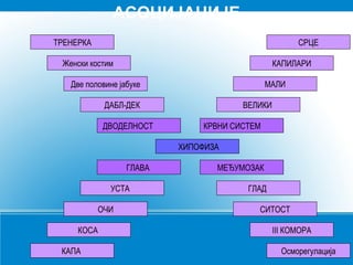 ХИПОФИЗА
ДВОДЕЛНОСТ КРВНИ СИСТЕМ
ГЛАВА МЕЂУМОЗАК
ДАБЛ-ДЕК ВЕЛИКИ
УСТА ГЛАД
Две половине јабуке МАЛИ
ОЧИ СИТОСТ
Женски костим КАПИЛАРИ
КОСА III КОМОРА
ТРЕНЕРКА СРЦЕ
КАПА Осморегулација
АСОЦИЈАЦИЈЕ
 