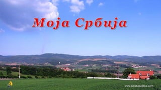 www.srpskapolitika.com
 