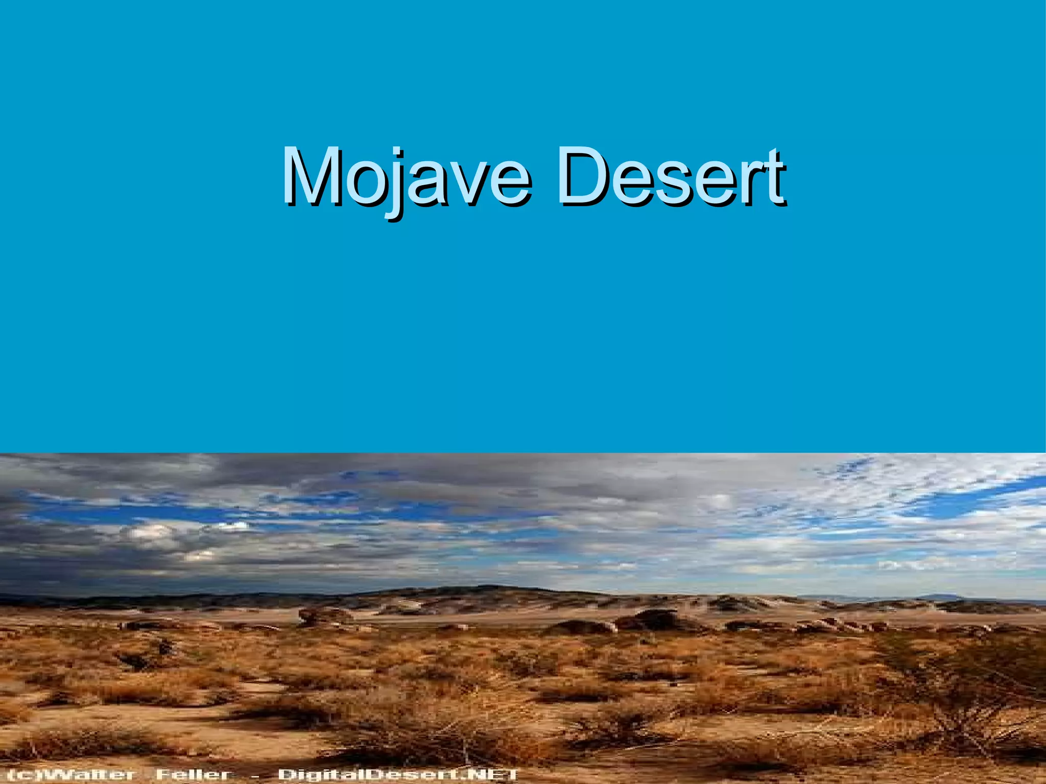 Mojave Desert