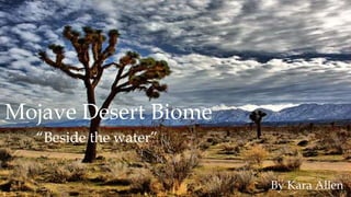 Mojave Desert Biome
“Beside the water””
By Kara Allen
 