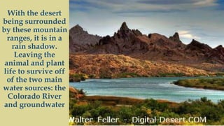 Mojave desert biome | PPTX