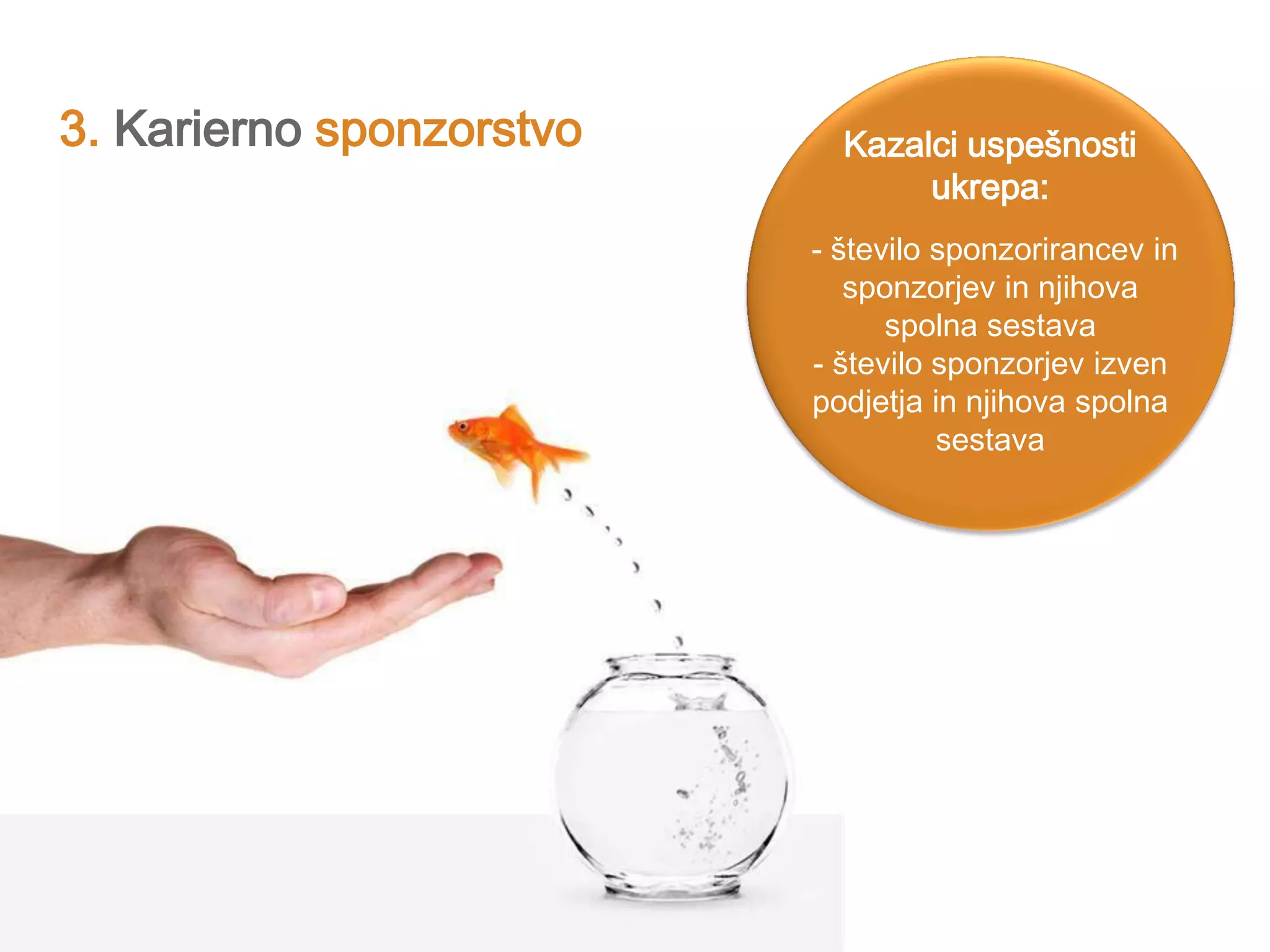 3. Karierno sponzorstvo Kazalci uspešnosti
ukrepa:
- število sponzorirancev in
sponzorjev in njihova
spolna sestava
- število sponzorjev izven
podjetja in njihova spolna
sestava
 