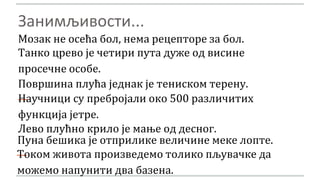 Мозак не осећа бол, нема рецепторе за бол.
Занимљивости...
Танко црево је четири пута дуже од висине
просечне особе.
Површина плућа једнак је тениском терену.
—Научници су пребројали око 500 различитих
функција јетре.
Лево плућно крило је мање од десног.
Пуна бешика је отприлике величине меке лопте.
—Током живота произведемо толико пљувачке да
можемо напунити два базена.
 