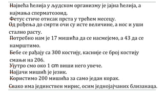 —Највећа ћелија у људском организму је јајна ћелија, а
најмања сперматозоид.
—Фетус стиче отисак прста у трећем месецу.
—Од рођења до смрти очи су исте величине, а нос и уши
стално расту.
—Потребно нам је 17 мишића да се насмејемо, а 43 да се
намрштимо.
—Бебе се рађају са 300 костију, касније се број костију
смањи на 206.
—Ујутро смо око 1 cm виши него увече.
—Најјачи мишић је језик.
—Користимо 200 мишића за само један корак.
—Свако има јединствен мирис, осим једнојајчаних близанаца.
 