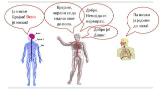 Брајане,
окрени се да
видиш овог
до пола.
Ја нисам
Брајан! Brain
je мозак!
Добро.
Немој да се
нервираш.
Па нисам
ја једини
до пола!
Добро је!
Диши!
 