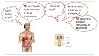 Шта овај
гледа?Где је
овоме
глава?
Ма не. Гледам
где почињеш,
а где се
завршаваш.
Шта си зинуо
ко мачак на
џигерицу?
Ха, ха што си
духовит!
Упишкићу се
од смеха!
 