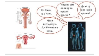 Да ли су
оно наши
органи?
Не. Наши
су у нама.
Мислио сам
да ли су то
органи
човека ?
Мали
неспоразум.
Да! И човека и
жене.
 