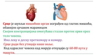 Срце је шупљи мишићни орган изграђен од глатих мишића,
обавијен срчаном марамицом
Својим контракцијама омогућава сталан проток крви кроз
тело човека.
Има леву и десну преткомору и комору.
Код одраслог човека кад мирује откуцаји су 60-80 пута у
минути.
Срце ради без утицаја наше воље.
 
