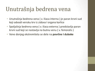 Unutrašnja bedrena vena
• Unutrašnja bedrena vena ( v. iliaca interna ) je paran krvni sud
koji odvodi vensku krv iz zidova I organa karlice
• Spoljašnja bedrena vena ( v. iliaca externa ) predstavlja paran
krvni sud koji se nastavlja na butnu venu ( v. femoralis )
• Vene donjeg ekstremiteta se dele na površne I duboke
 