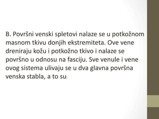 B. Površni venski spletovi nalaze se u potkožnom
masnom tkivu donjih ekstremiteta. Ove vene
dreniraju kožu i potkožno tkivo i nalaze se
površno u odnosu na fasciju. Sve venule i vene
ovog sistema ulivaju se u dva glavna površna
venska stabla, a to su:
 