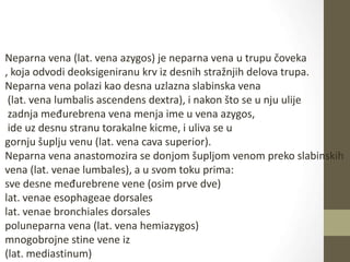 Neparna vena (lat. vena azygos) je neparna vena u trupu čoveka
, koja odvodi deoksigeniranu krv iz desnih stražnjih delova trupa.
Neparna vena polazi kao desna uzlazna slabinska vena
(lat. vena lumbalis ascendens dextra), i nakon što se u nju ulije
zadnja međurebrena vena menja ime u vena azygos,
ide uz desnu stranu torakalne kicme, i uliva se u
gornju šuplju venu (lat. vena cava superior).
Neparna vena anastomozira se donjom šupljom venom preko slabinskih
vena (lat. venae lumbales), a u svom toku prima:
sve desne međurebrene vene (osim prve dve)
lat. venae esophageae dorsales
lat. venae bronchiales dorsales
poluneparna vena (lat. vena hemiazygos)
mnogobrojne stine vene iz
(lat. mediastinum)
 