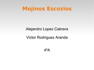 Mojinos Escozios Alejandro Lopez Cabrera Victor Rodriguez Aranda 4ºA 
