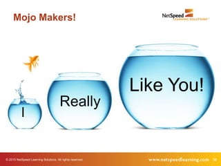 36© 2015 NetSpeed Learning Solutions. All rights reserved.
Mojo Makers!
Like You!
Really
I
 