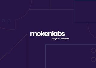 program overview
mokenlabs
 