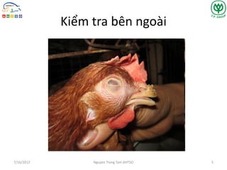 Comprehensive Guide to Poultry Necropsy and Disease Diagnosis | PDF