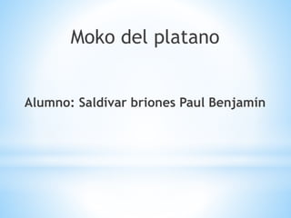 Moko del platano
Alumno: Saldívar briones Paul Benjamín
 
