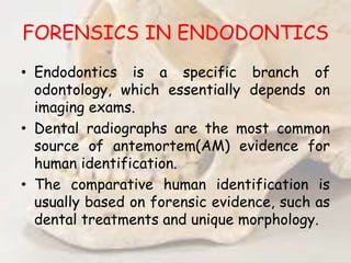 FORENSICS IN ENDODONTICS
• Endodontics is a specific branch of
odontology, which essentially depends on
imaging exams.
• Dental radiographs are the most common
source of antemortem(AM) evidence for
human identification.
• The comparative human identification is
usually based on forensic evidence, such as
dental treatments and unique morphology.
 