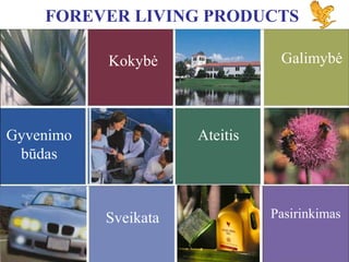 FOREVER LIVING PRODUCTS
Galimybė

Kokybė

Gyvenimo
būdas

Ateitis

Sveikata

Pasirinkimas

 