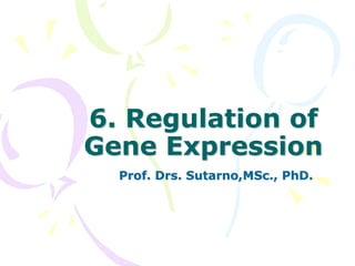 6. Regulation of
Gene Expression
Prof. Drs. Sutarno,MSc., PhD.
 