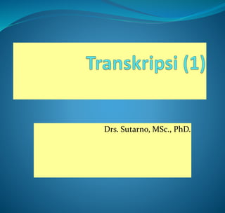 Drs. Sutarno, MSc., PhD.
 