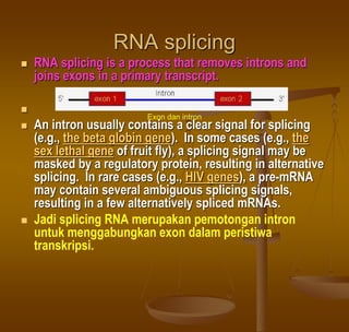 RNA splicing
 RNA splicing is a process that removes introns and
joins exons in a primary transcript.

 An intron usually contains a clear signal for splicing
(e.g., the beta globin gene). In some cases (e.g., the
sex lethal gene of fruit fly), a splicing signal may be
masked by a regulatory protein, resulting in alternative
splicing. In rare cases (e.g., HIV genes), a pre-mRNA
may contain several ambiguous splicing signals,
resulting in a few alternatively spliced mRNAs.
 Jadi splicing RNA merupakan pemotongan intron
untuk menggabungkan exon dalam peristiwa
transkripsi.
Exon dan intron
 