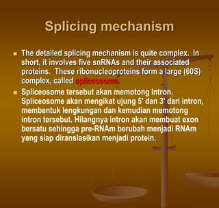 Splicing mechanism
 The detailed splicing mechanism is quite complex. In
short, it involves five snRNAs and their associated
proteins. These ribonucleoproteins form a large (60S)
complex, called spliceosome.
 Spliceosome tersebut akan memotong intron.
Spliceosome akan mengikat ujung 5' dan 3' dari intron,
membentuk lengkungan dan kemudian memotong
intron tersebut. Hilangnya intron akan membuat exon
bersatu sehingga pre-RNAm berubah menjadi RNAm
yang siap diranslasikan menjadi protein.
 