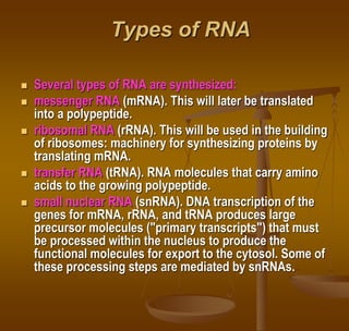 Types of RNA
 Several types of RNA are synthesized:
 messenger RNA (mRNA). This will later be translated
into a polypeptide.
 ribosomal RNA (rRNA). This will be used in the building
of ribosomes: machinery for synthesizing proteins by
translating mRNA.
 transfer RNA (tRNA). RNA molecules that carry amino
acids to the growing polypeptide.
 small nuclear RNA (snRNA). DNA transcription of the
genes for mRNA, rRNA, and tRNA produces large
precursor molecules ("primary transcripts") that must
be processed within the nucleus to produce the
functional molecules for export to the cytosol. Some of
these processing steps are mediated by snRNAs.
 