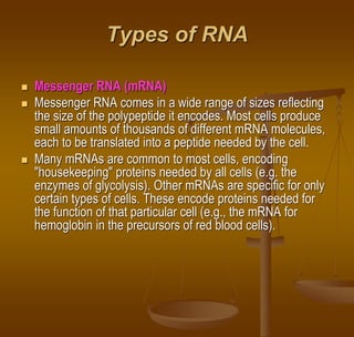 Types of RNA
 Messenger RNA (mRNA)
 Messenger RNA comes in a wide range of sizes reflecting
the size of the polypeptide it encodes. Most cells produce
small amounts of thousands of different mRNA molecules,
each to be translated into a peptide needed by the cell.
 Many mRNAs are common to most cells, encoding
"housekeeping" proteins needed by all cells (e.g. the
enzymes of glycolysis). Other mRNAs are specific for only
certain types of cells. These encode proteins needed for
the function of that particular cell (e.g., the mRNA for
hemoglobin in the precursors of red blood cells).
 