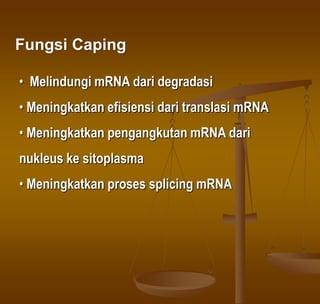 Fungsi Caping
• Melindungi mRNA dari degradasi
• Meningkatkan efisiensi dari translasi mRNA
• Meningkatkan pengangkutan mRNA dari
nukleus ke sitoplasma
• Meningkatkan proses splicing mRNA
 