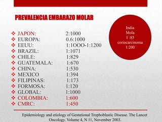 PREVALENCIA EMBARAZO MOLAR
                                                                  India
   JAPON:                    2:1000                              Mola
                                                                  1 :85
   EUROPA:                   0.6:1000                       coriocarcinoma
   EEUU:                     1:1OOO-1:1200                       1:200
   BRAZIL:                   1:1071
   CHILE:                    1:829
   GUATEMALA:                1:670
   CHINA:                    1:530
   MEXICO                    1:394
   FILIPINAS:                1:173
   FORMOSA:                  1:120
   GLOBAL:                   1:1000
   COLOMBIA:                 1:600
   CMRC:                     1:450
     Epidemiology and etiology of Gestational Trophoblastic Disease. The Lancet
                    Oncology. Volume 4, N 11, November 2003.
 