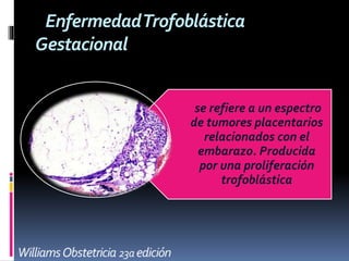 EnfermedadTrofoblástica
Gestacional
se refiere a un espectro
de tumores placentarios
relacionados con el
embarazo. Producida
por una proliferación
trofoblástica
 