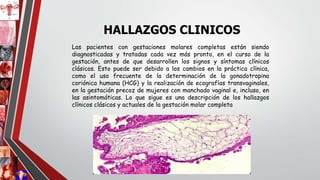 Las pacientes con gestaciones molares completas están siendo
diagnosticadas y tratadas cada vez más pronto, en el curso de la
gestación, antes de que desarrollen los signos y síntomas clínicos
clásicos. Esto puede ser debido a los cambios en la práctica clínica,
como el uso frecuente de la determinación de la gonadotropina
coriónica humana (HCG) y la realización de ecografías transvaginales,
en la gestación precoz de mujeres con manchado vaginal e, incluso, en
las asintomáticas. Lo que sigue es una descripción de los hallazgos
clínicos clásicos y actuales de la gestación molar completa
HALLAZGOS CLINICOS
 