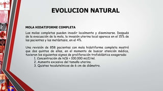 Las molas completas pueden invadir localmente y diseminarse. Después
de la evacuación de la mola, la invasión uterina local aparece en el 15% de
las pacientes y las metástasis, en el 4%.
Una revisión de 858 pacientes con mola hidatiforme completa mostró
que dos quintos de ellas, en el momento de buscar atención médica,
tuvieron los siguientes signos de proliferación trofoblástica exagerada:
1. Concentración de hCG > 100.000 mUI/ml.
2. Aumento excesivo del tamaño uterino.
3. Quistes tecaluteínicos de 6 cm de diámetro.
EVOLUCION NATURAL
MOLA HIDATIFORME COMPLETA
 