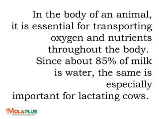 In the body of an animal,
it is essential for transporting
oxygen and nutrients
throughout the body.
Since about 85% of milk
is water, the same is
especially
important for lactating cows.
 