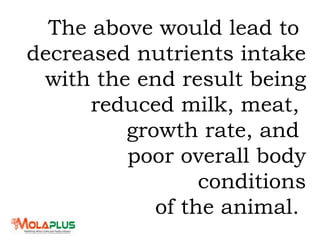 The above would lead to
decreased nutrients intake
with the end result being
reduced milk, meat,
growth rate, and
poor overall body
conditions
of the animal.
 