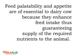 Feed palatability and appetite
are of essential to dairy cow
because they enhance
feed intake thus
guaranteeing
supply of the required
nutrients to the animal.
 