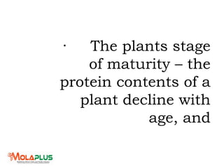· The plants stage
of maturity – the
protein contents of a
plant decline with
age, and
 