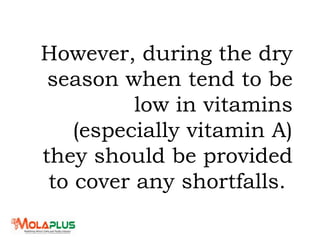 However, during the dry
season when tend to be
low in vitamins
(especially vitamin A)
they should be provided
to cover any shortfalls.
 