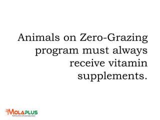 Animals on Zero-Grazing
program must always
receive vitamin
supplements.
 