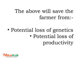 The above will save the
farmer from:-
• Potential loss of genetics
• Potential loss of
productivity
 