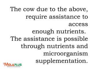 The cow due to the above,
require assistance to
access
enough nutrients.
The assistance is possible
through nutrients and
microorganism
supplementation.
 