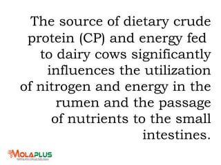 The source of dietary crude
protein (CP) and energy fed
to dairy cows significantly
influences the utilization
of nitrogen and energy in the
rumen and the passage
of nutrients to the small
intestines.
 