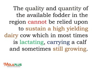 The quality and quantity of
the available fodder in the
region cannot be relied upon
to sustain a high yielding
dairy cow which in most times
is lactating, carrying a calf
and sometimes still growing.
 