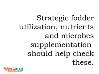 Strategic fodder
utilization, nutrients
and microbes
supplementation
should help check
these.
 